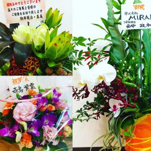 %e5%ba%83%e5%b3%b6%e3%81%a6%e3%82%99%e5%8f%a3%e3%82%b3%e3%83%9f%e4%ba%ba%e6%b0%97%e3%81%ae%e6%95%b4%e4%bd%93%e9%99%a2_%e5%ba%83%e5%b3%b6%e7%9c%9e%e7%94%b0%e6%b5%81